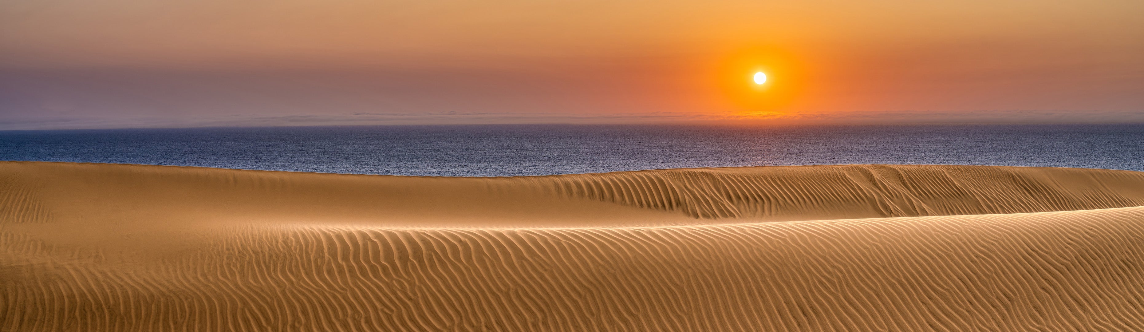 Desert & Ocean