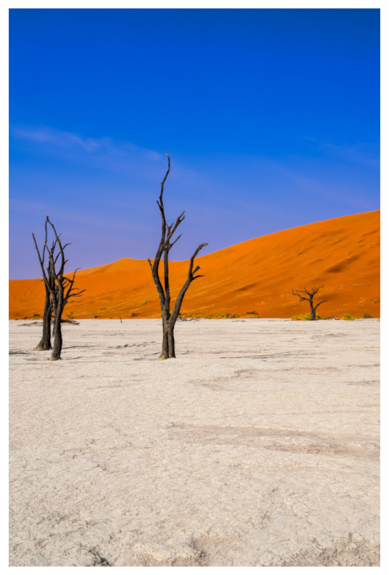 Deadvlei Dreamscape #6