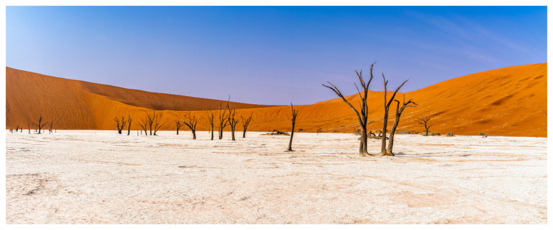 Deadvlei Dreamscape #3