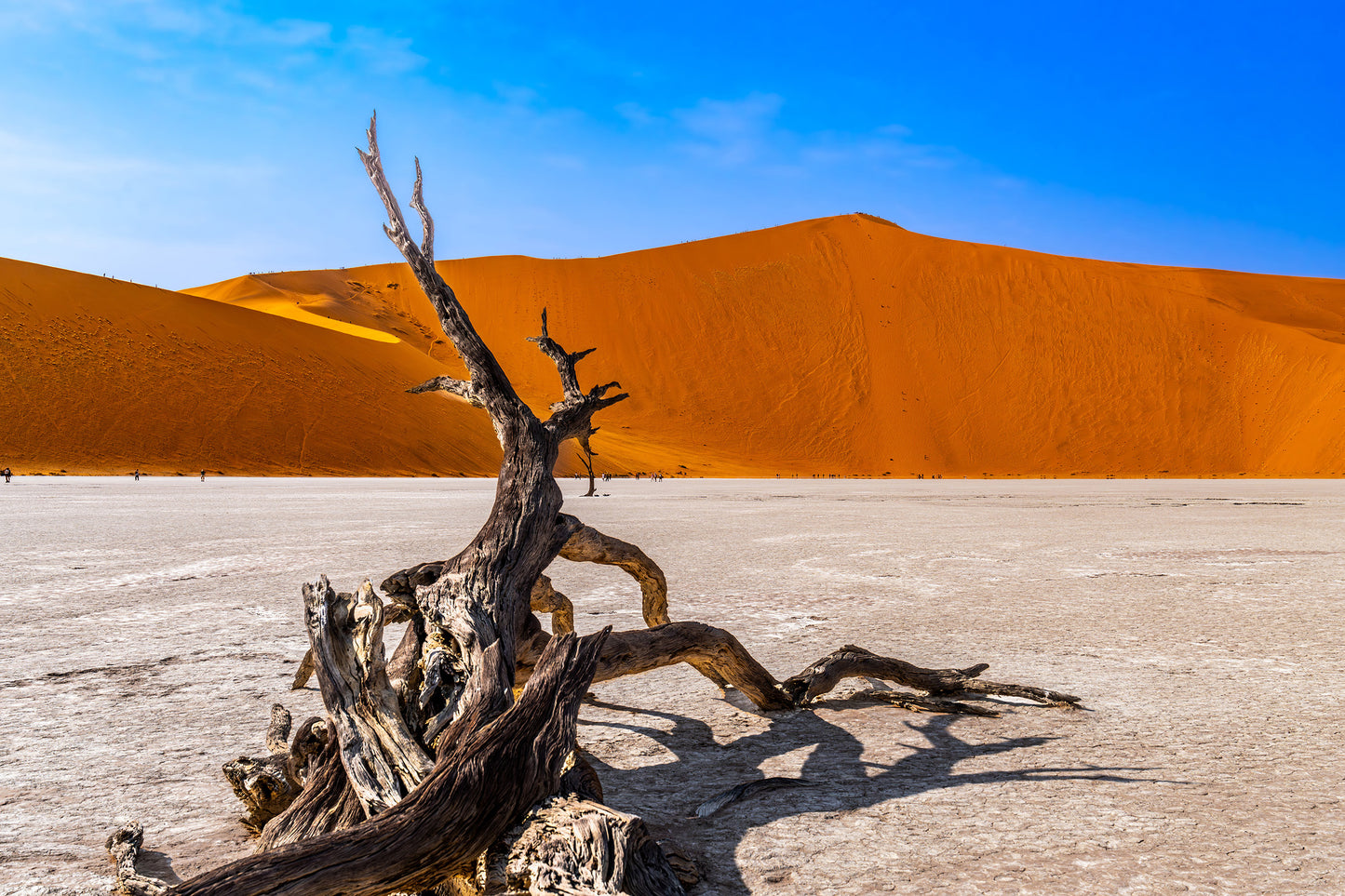 Deadvlei Dreamscape #11