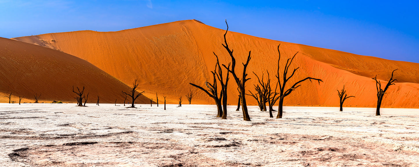 Deadvlei Dreamscape #5
