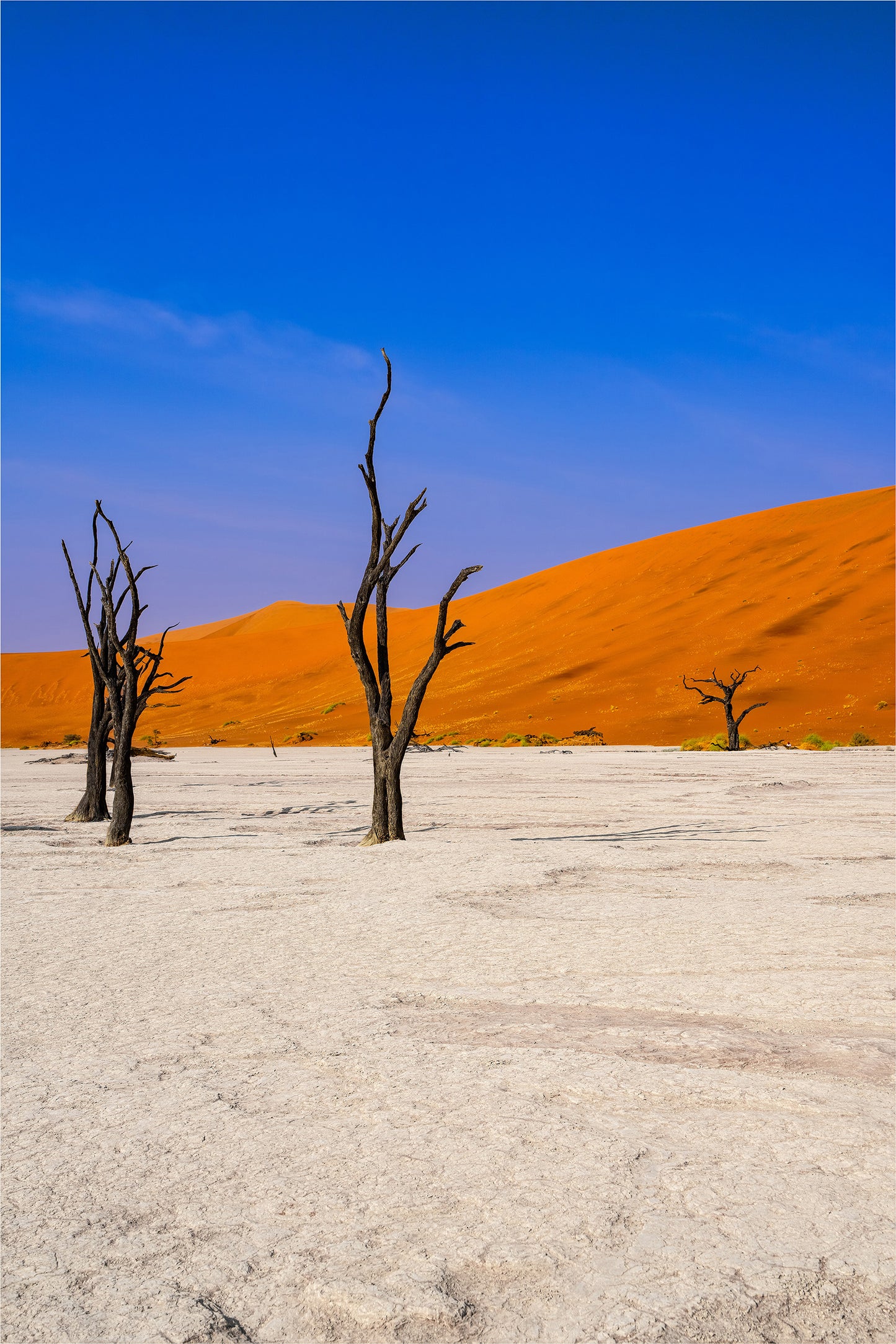 Deadvlei Dreamscape #6