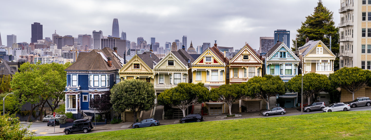 the painted ladies