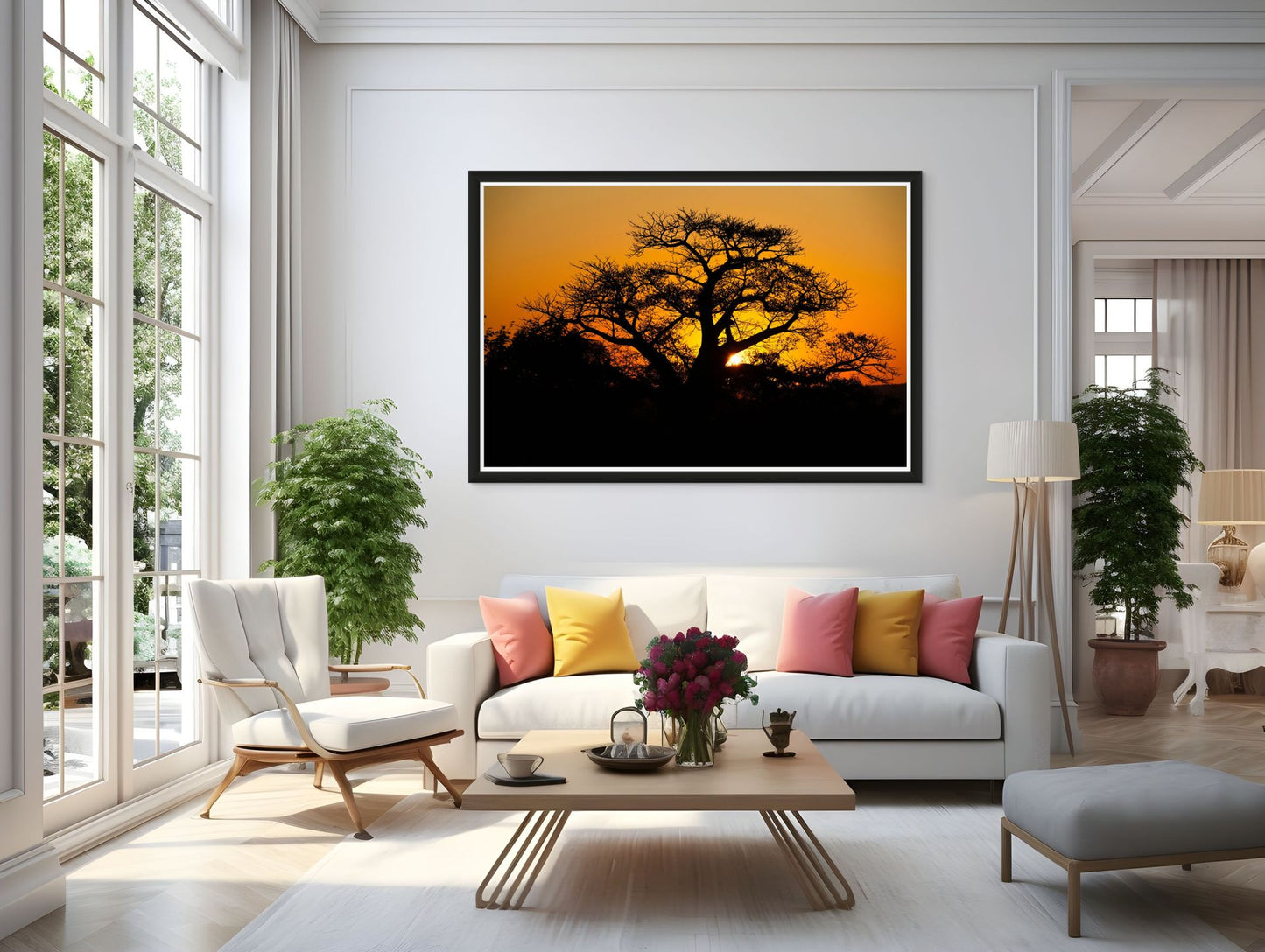 African Baobab sunset