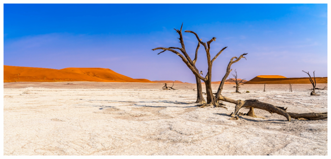Deadvlei Dreamscape #2