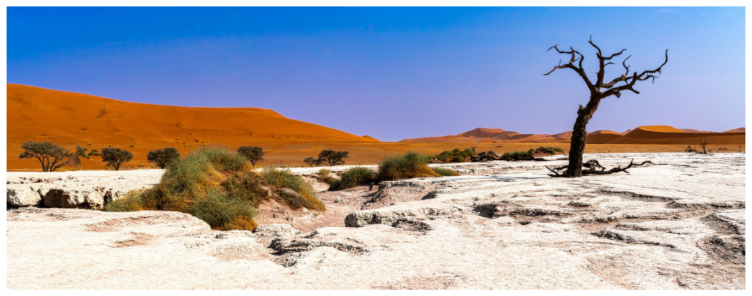 Deadvlei Dreamscape #10