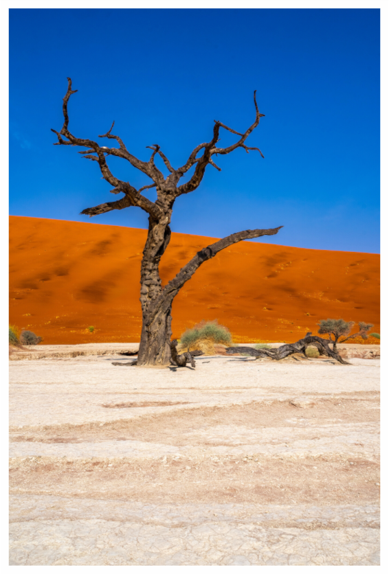 Deadvlei Dreamscape #8