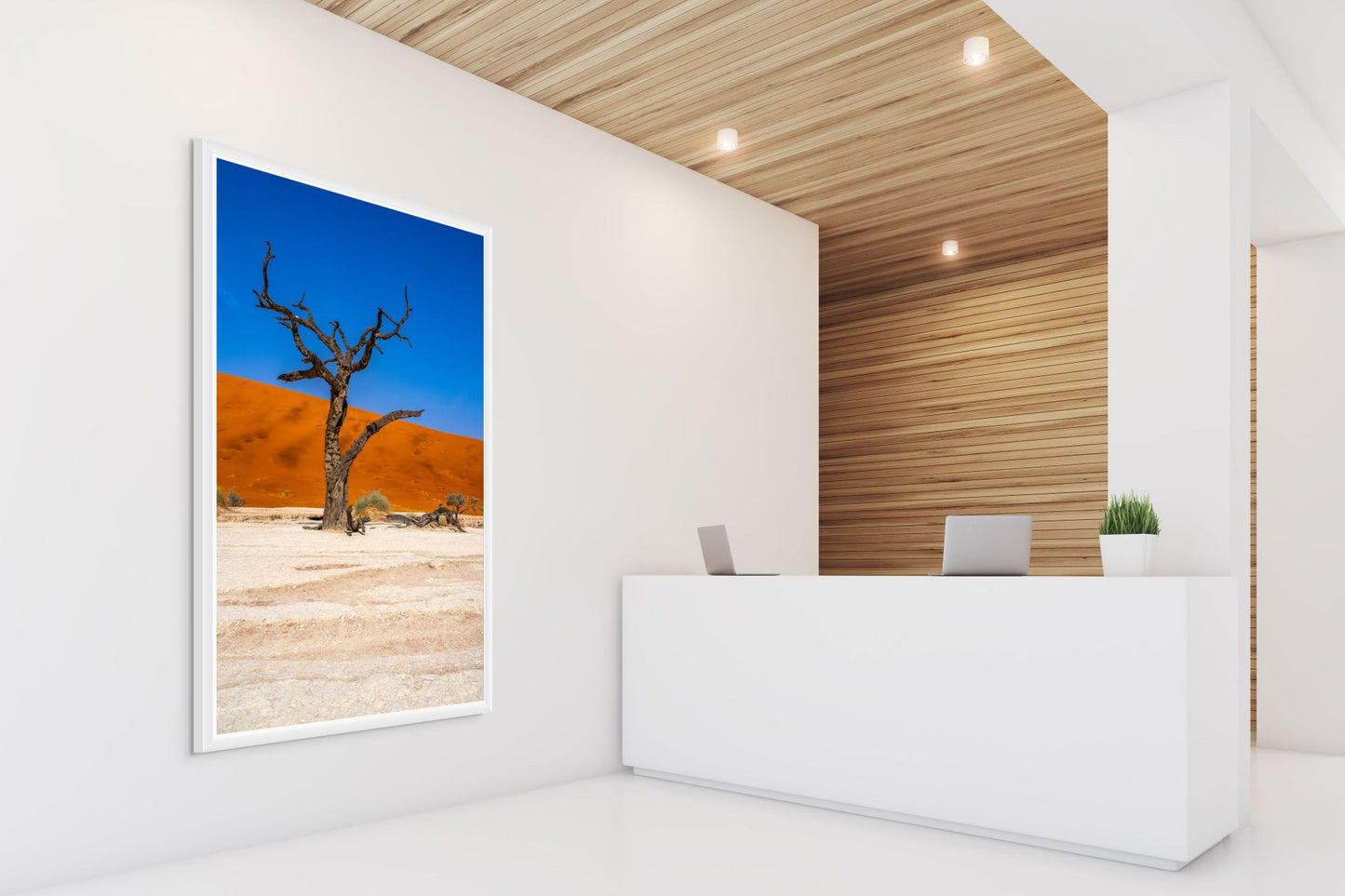 Deadvlei Dreamscape #8