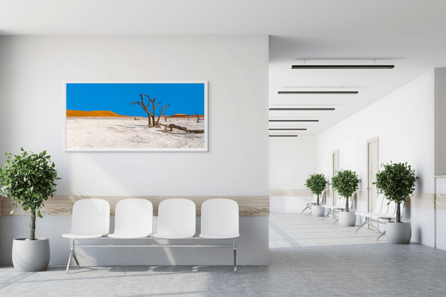 Deadvlei dreamscape #1