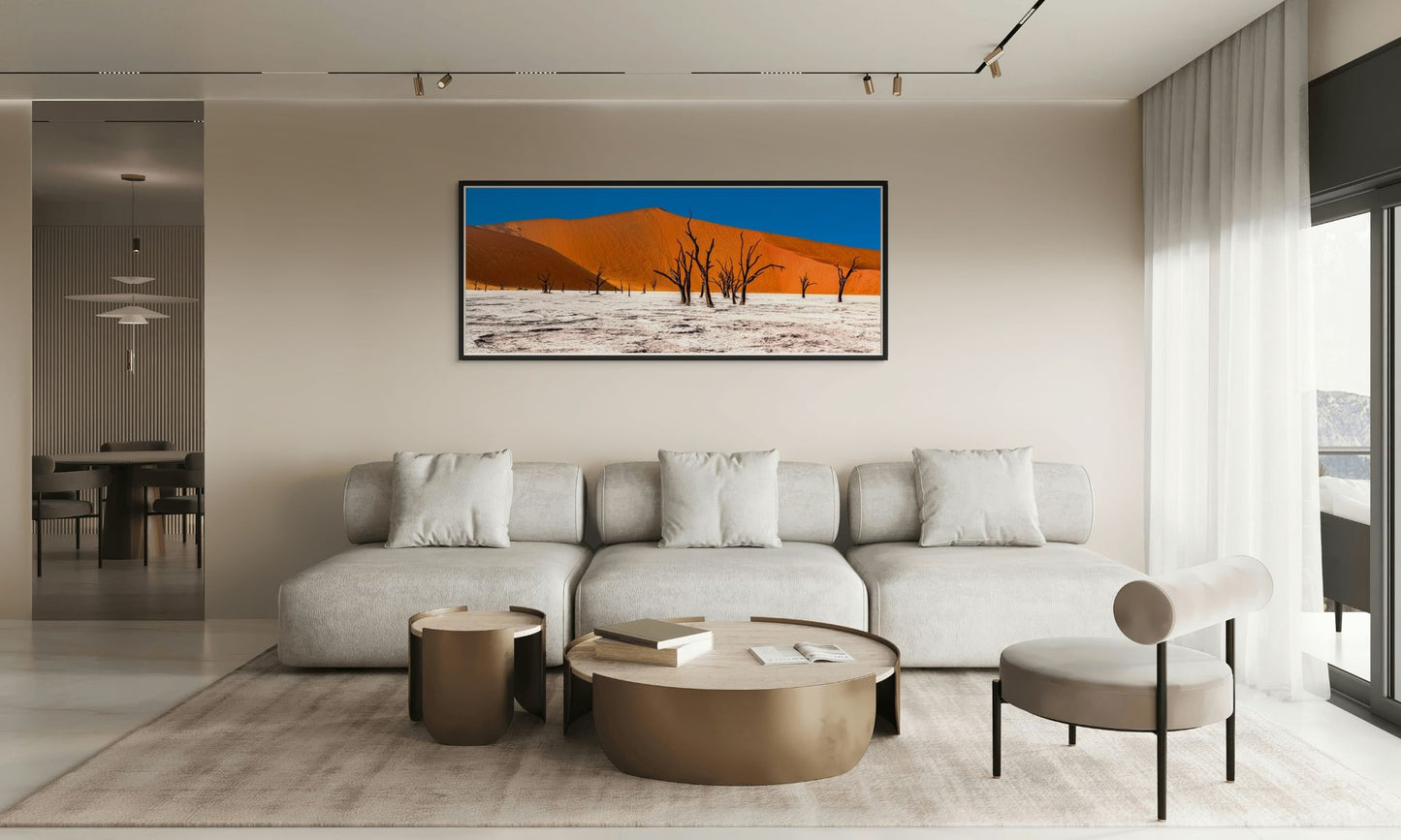 Ghosts of Sossusvlei