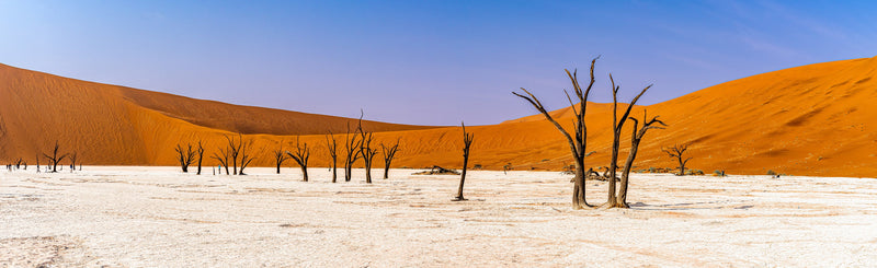 Deadvlei Dreamscape Collection