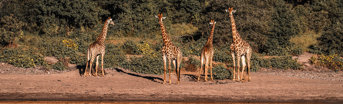 South Africa