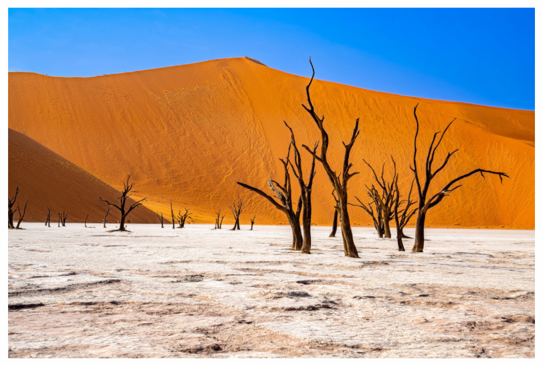 Deadvlei Dreamscape #4