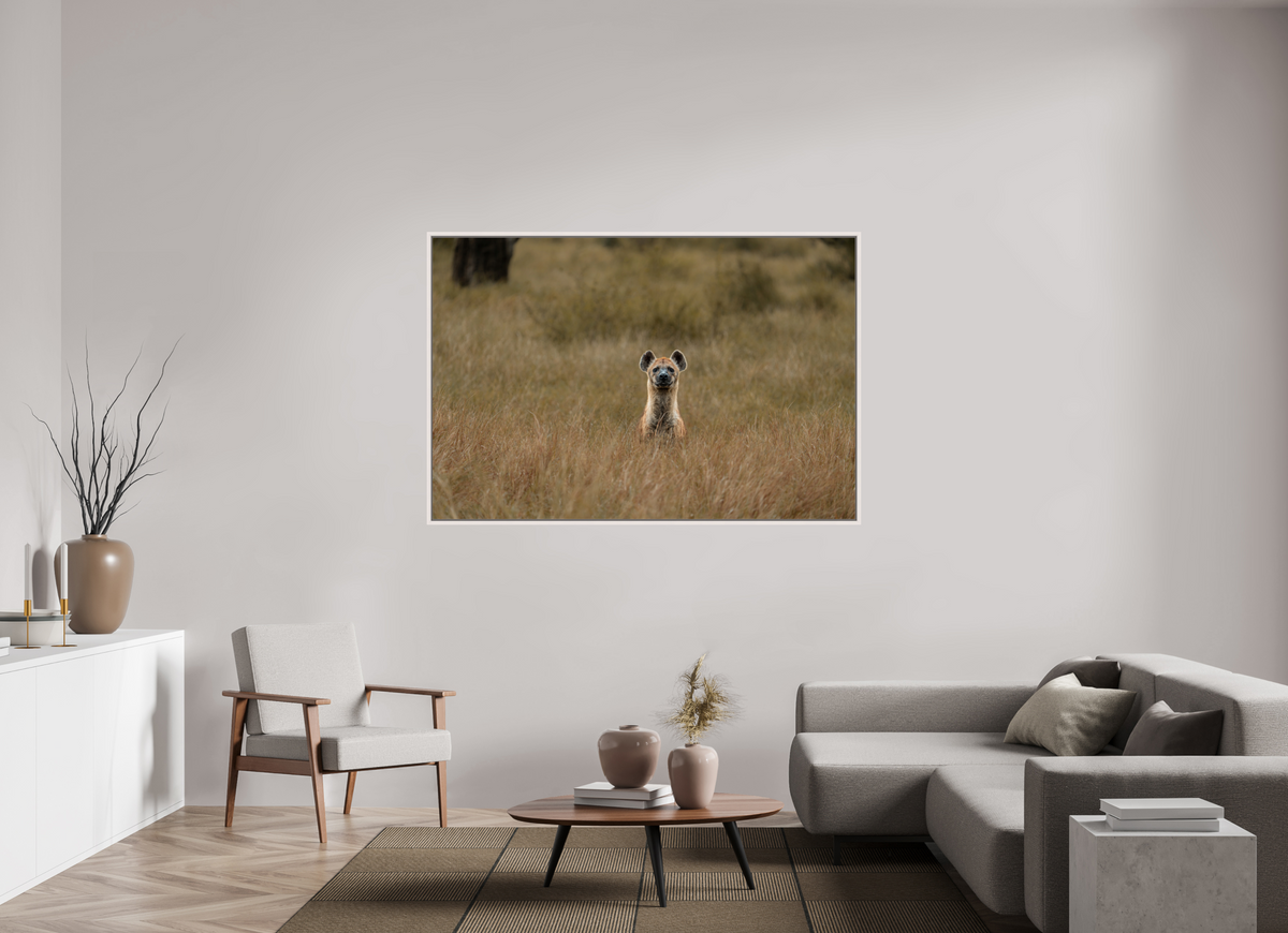 66 x 44″, Floater frame 0.6" White Maple no border Curiousity