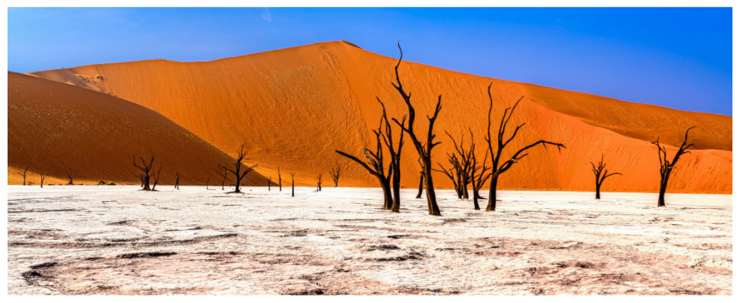 Deadvlei Dreamscape #5