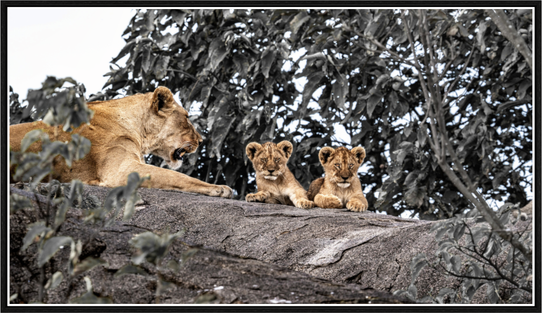 pride and discipline