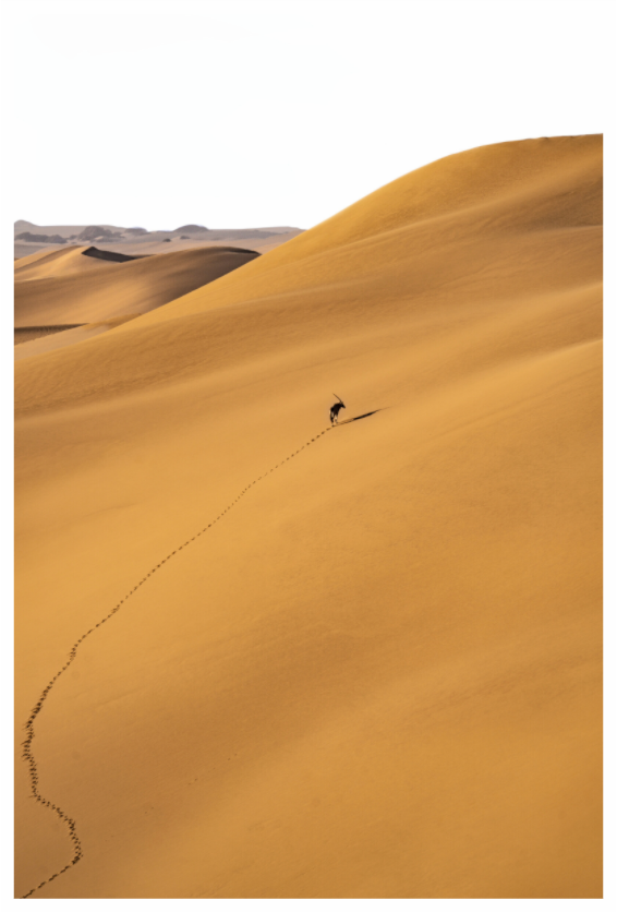 Desert & Ocean 6