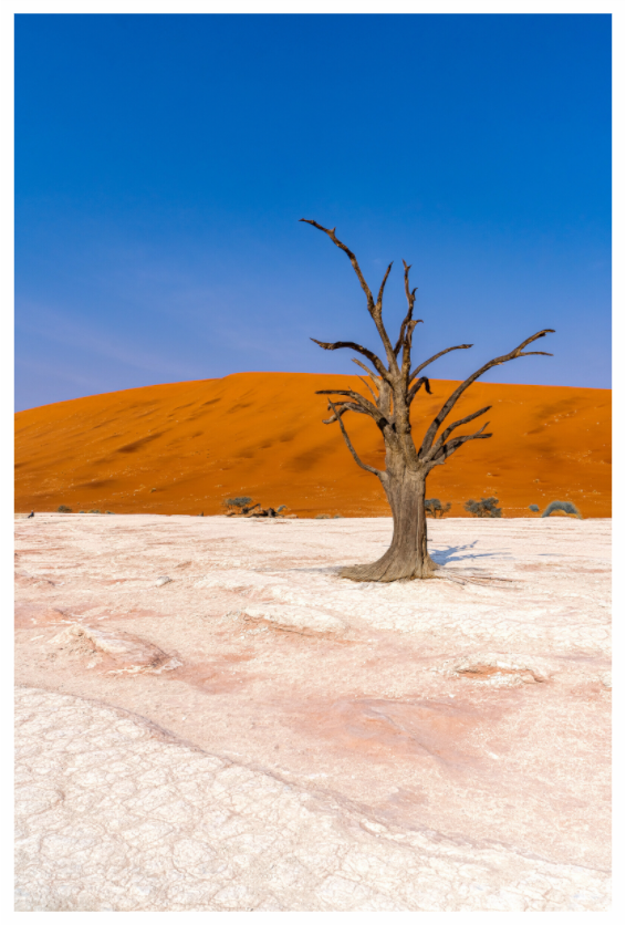 Deadvlei Dreamscape #7