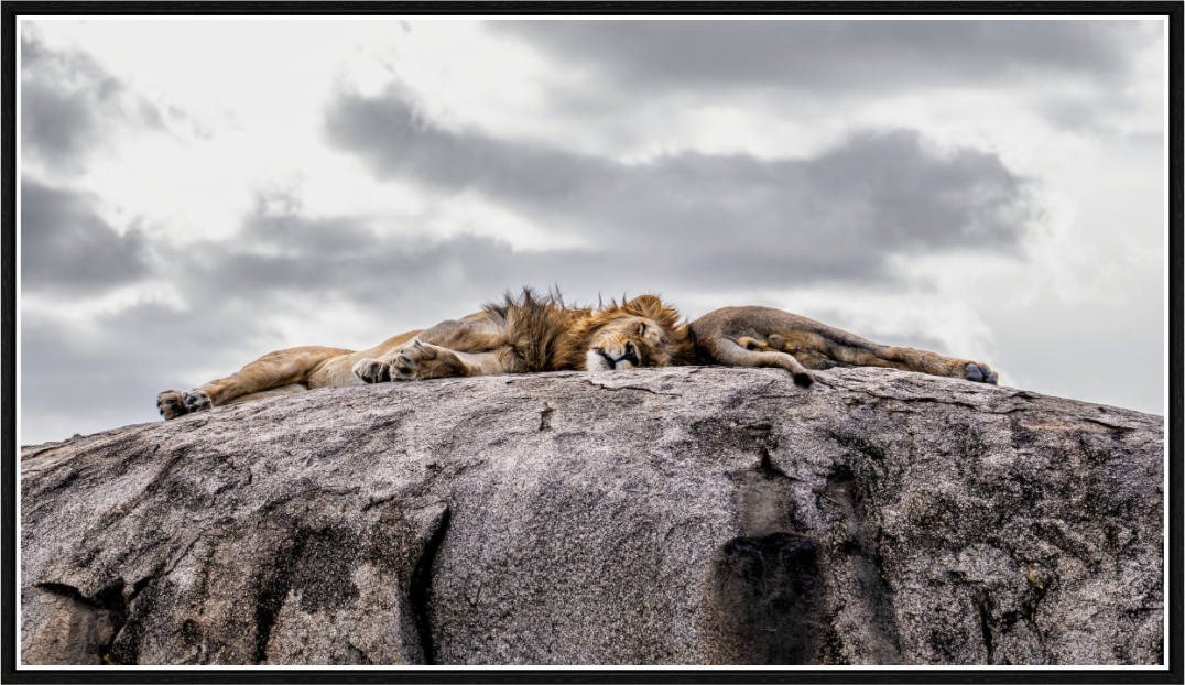 the brotherhood sleeps
