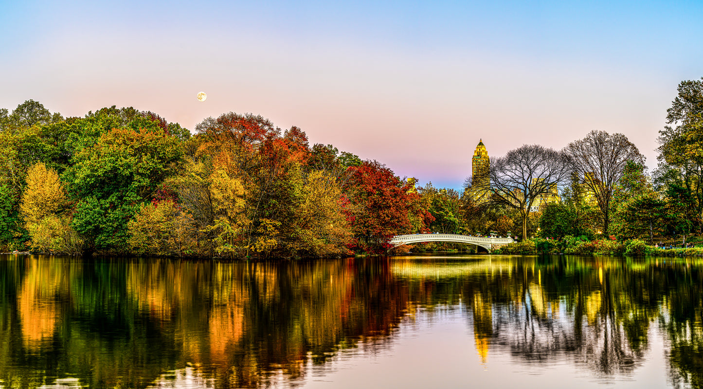 fall symphony