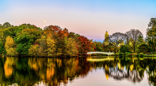 fall symphony