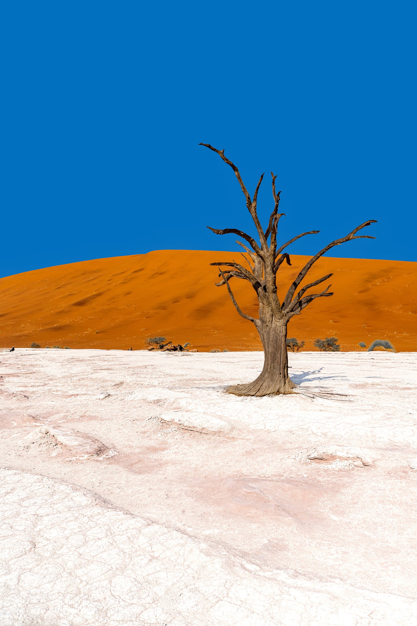 Deadvlei Dreamscape #6