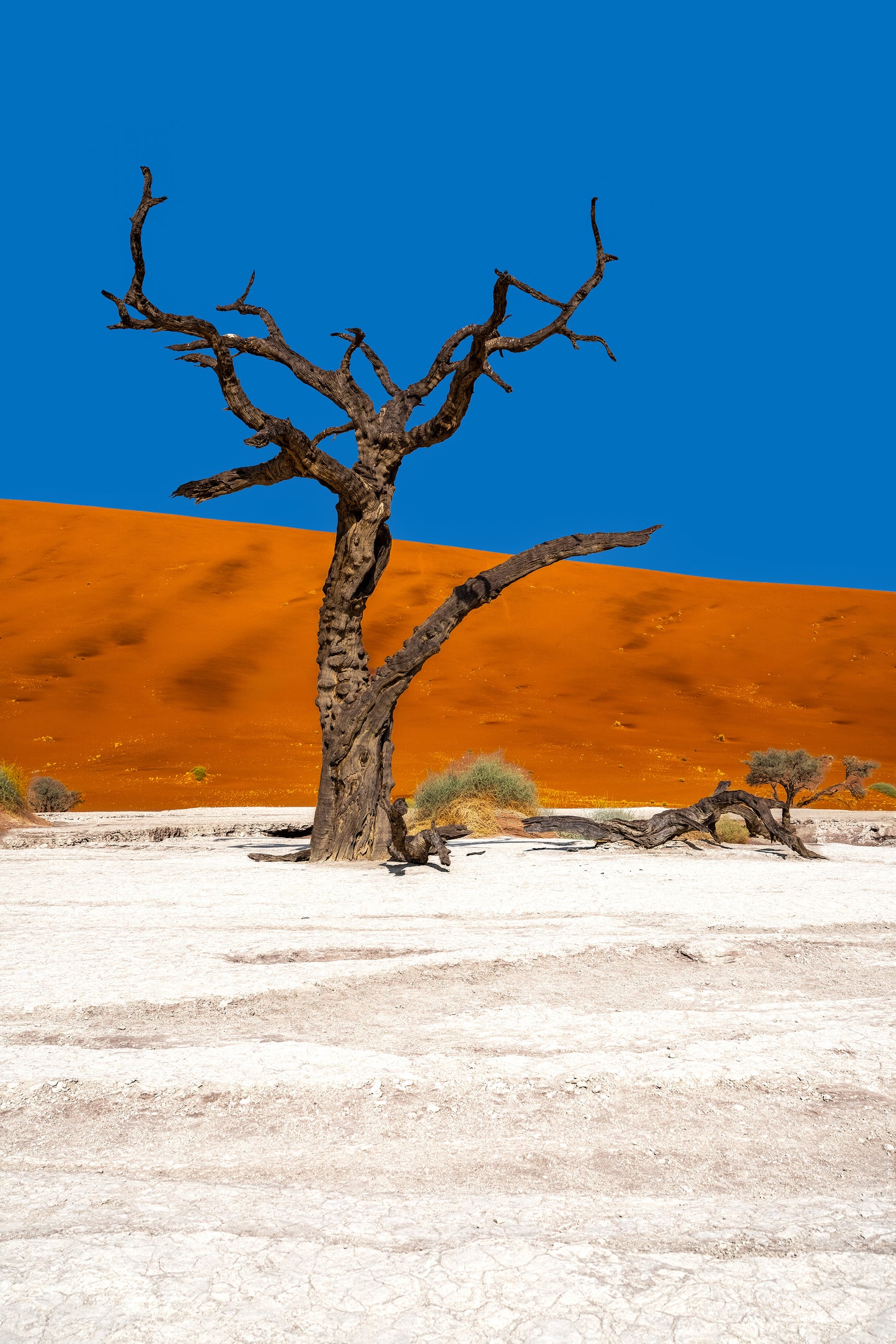 Deadvlei Dreamscape #7