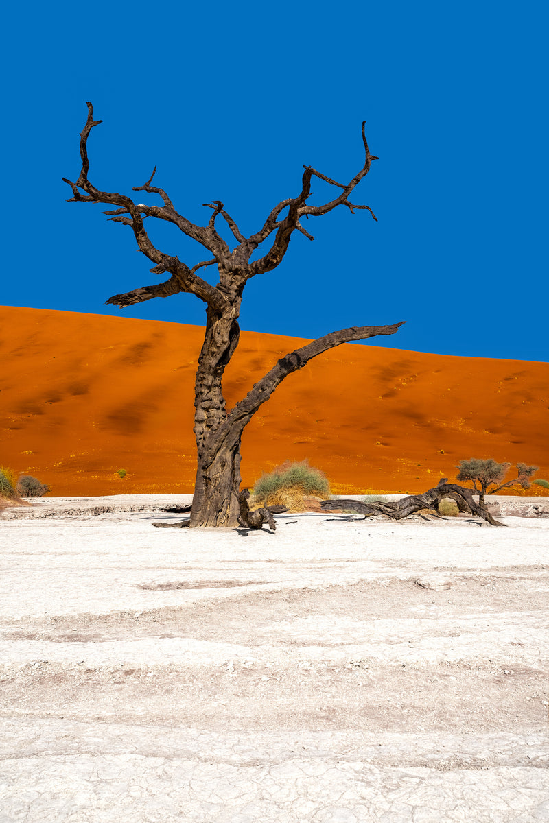 Deadvlei Dreamscape #7