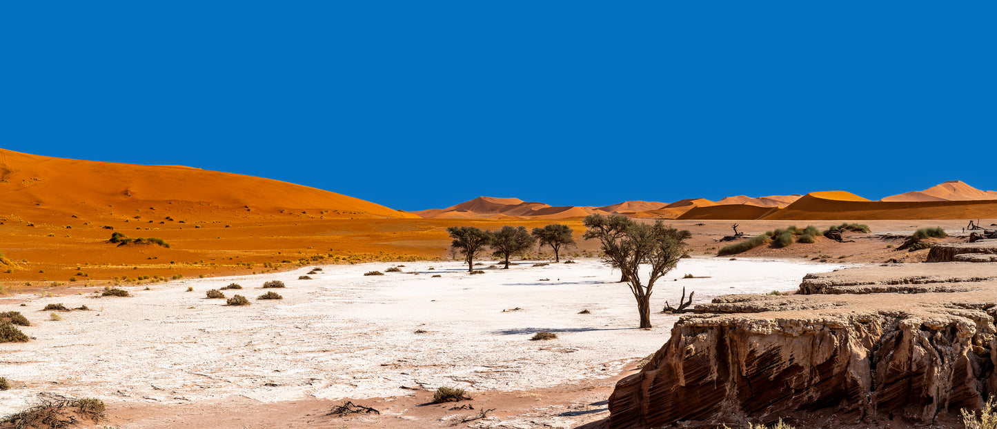 Deadvlei Dreamscape #8