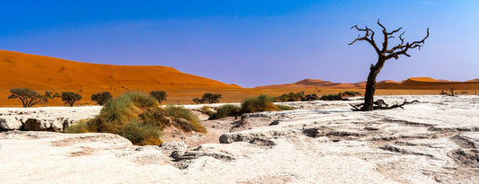 Deadvlei Dreamscape #10