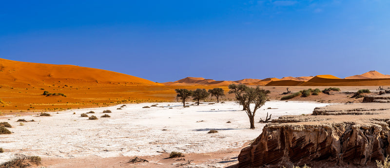 Deadvlei Dreamscape #9
