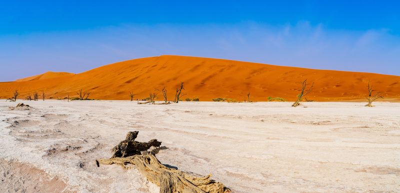 Deadvlei Dreamscape #1