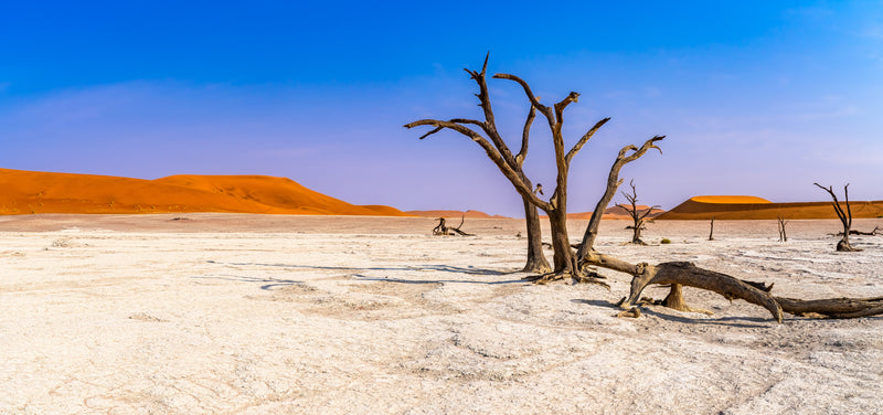 Deadvlei Dreamscape #2