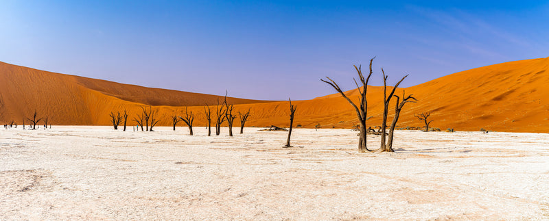 Deadvlei Dreamscape #3