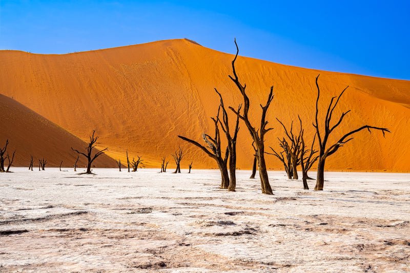 Deadvlei Dreamscape #4