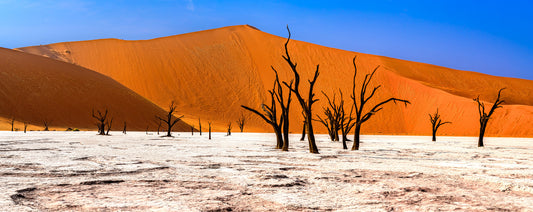 Deadvlei Dreamscape #5