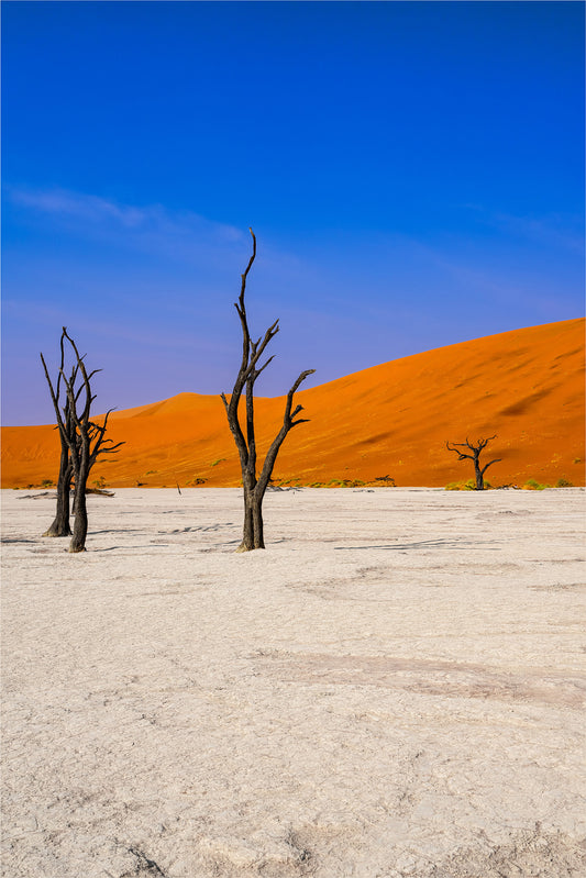 Deadvlei Dreamscape #6