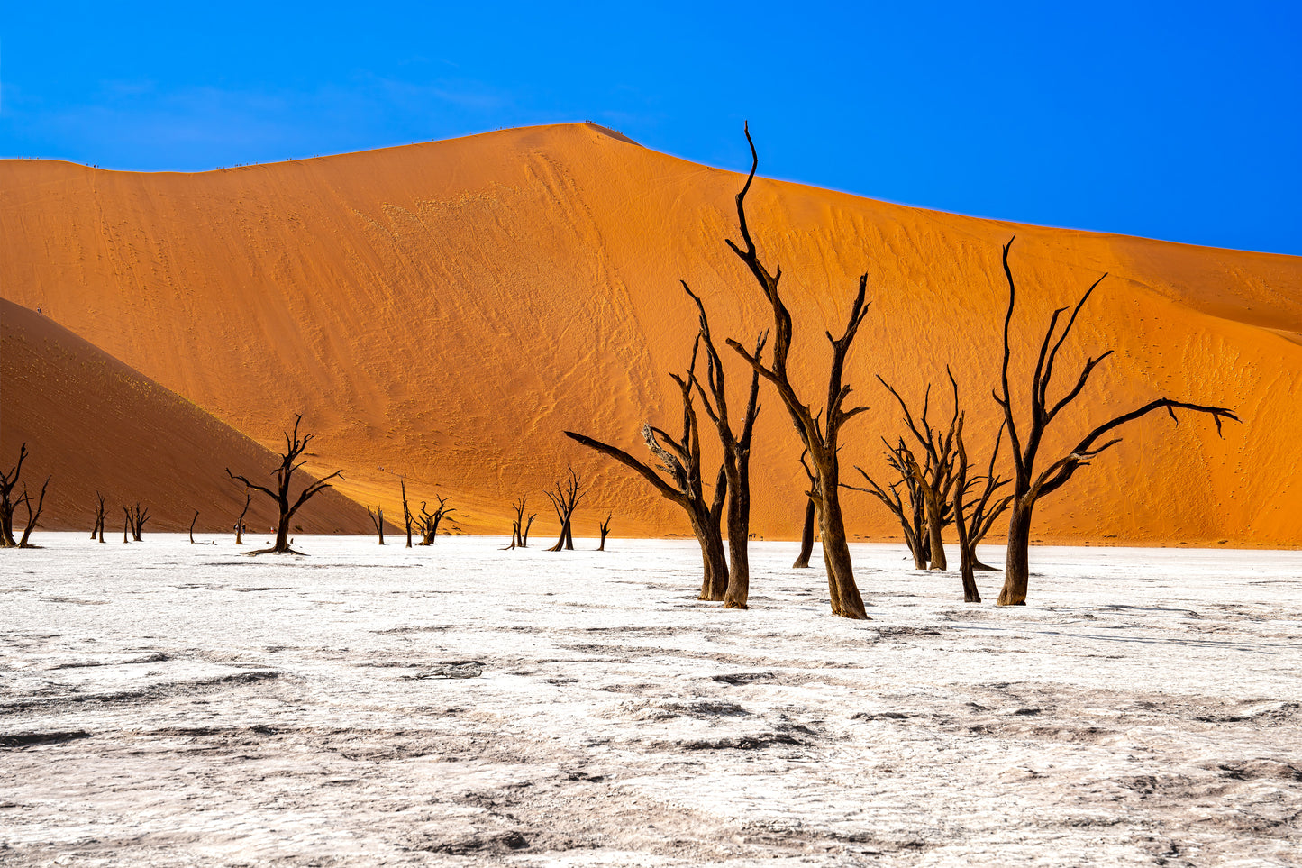 Deadvlei Dreamscape #10