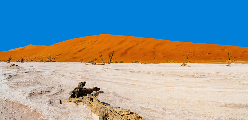Deadvlei Dreamscape #11
