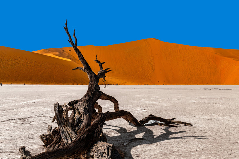 Deadvlei dreamscape #2