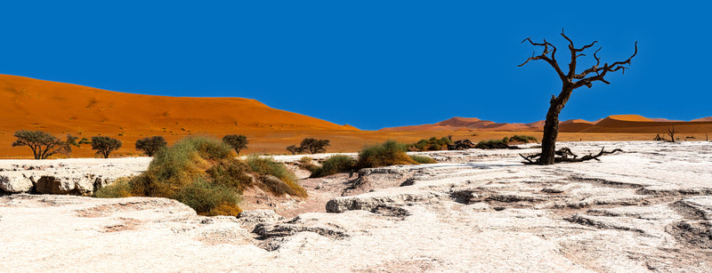 Deadvlei Dreamscape #9
