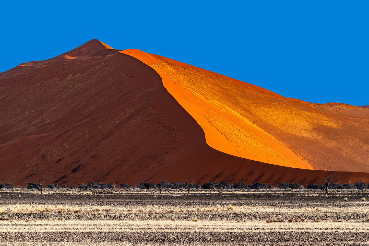 shadows and light in the dunes