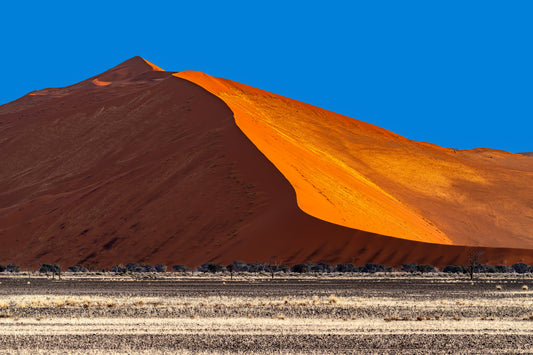 shadows and light in the dunes