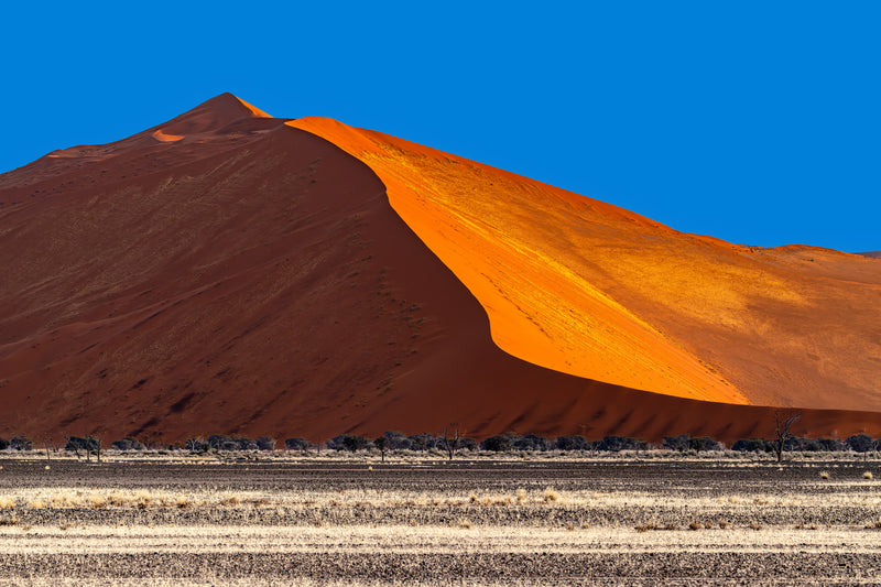 shadows and light in the dunes