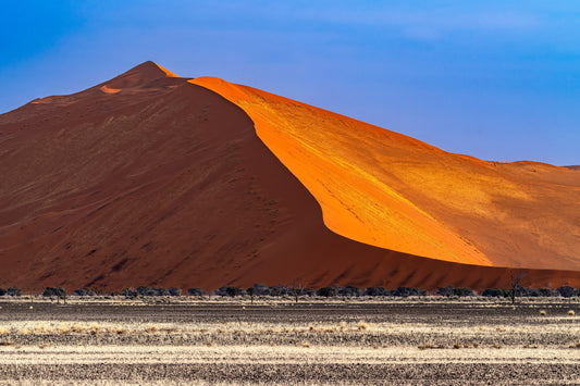 Shadows and Light in the Dunes