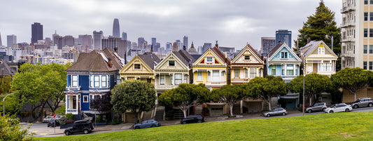 the painted ladies