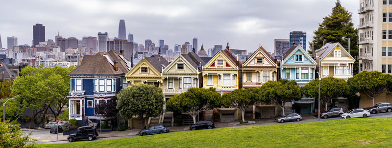 the painted ladies
