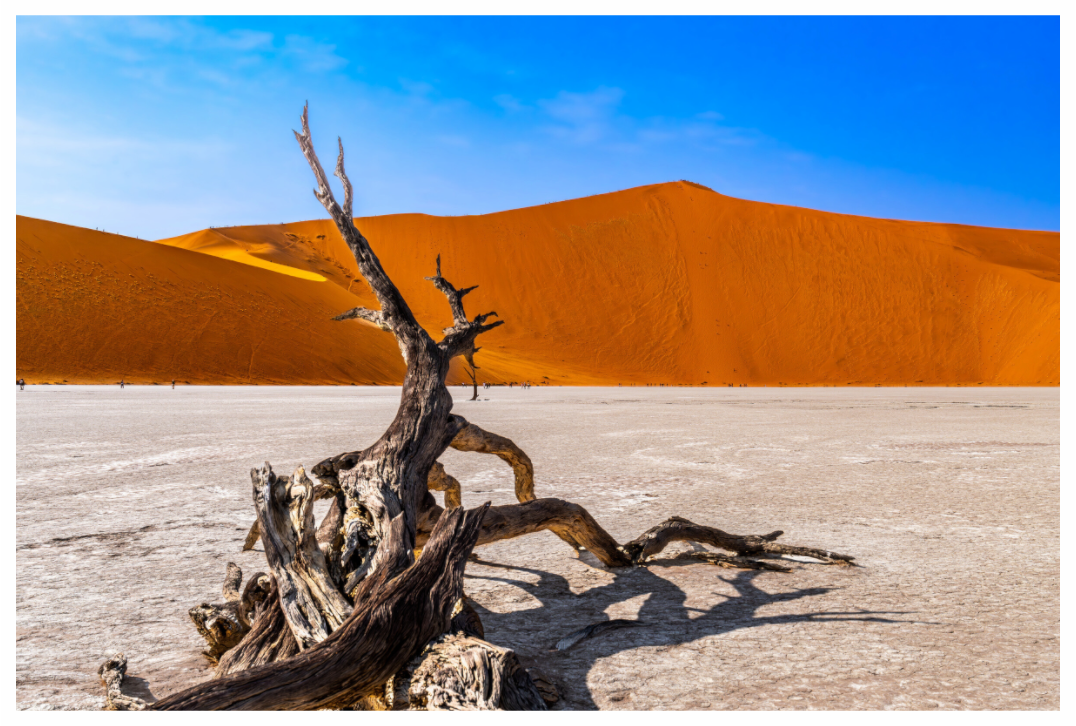 Deadvlei Dreamscape #11