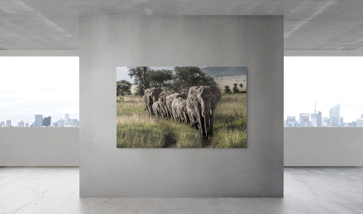march of the matriarch